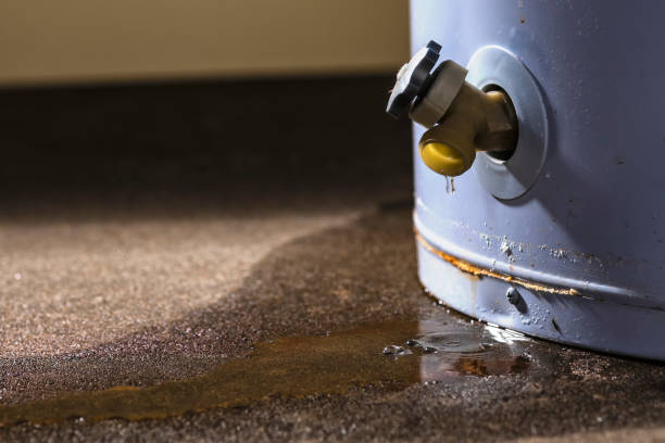 Best Emergency water damage restoration  in Cortez, FL
