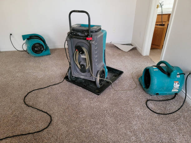 Best Commercial water damage restoration  in Cortez, FL