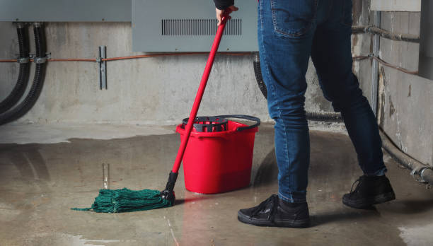 Best Water damage contractors near me  in Cortez, FL