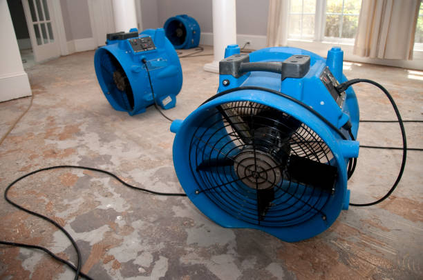Best 24-hour water damage restoration  in Cortez, FL