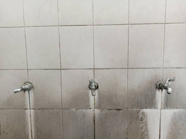 Best Local water damage restoration  in Cortez, FL
