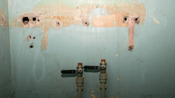 Best Water damage repair service  in Cortez, FL